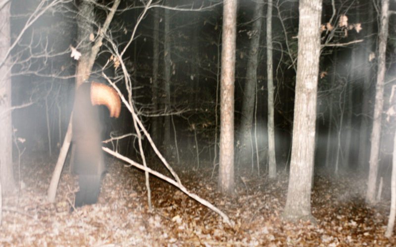 True Scary Story Terror In The Woods
