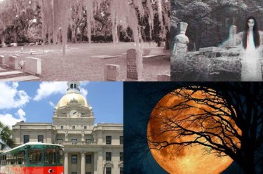 Savannah Ghost Tour and Trolley Tour Combo